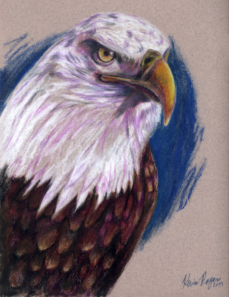 Eagle - Oil pastel